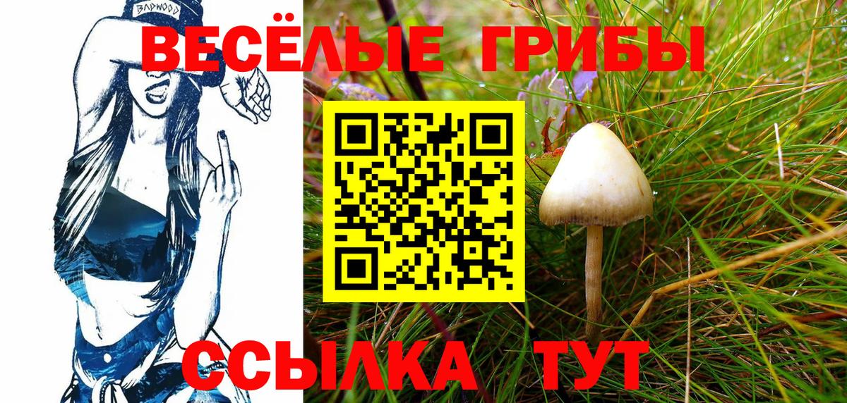 Псилоцибиновые грибы Magic Shrooms Сыктывкар