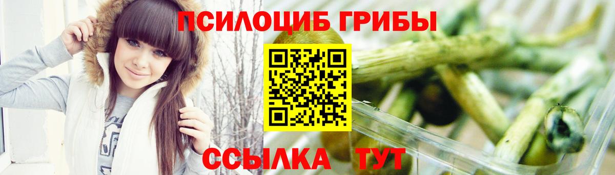 Галлюциногенные грибы Magic Shrooms  Вход с VPN  Сыктывкар  Псилоцибиновые грибы Psilocybine cubensis 